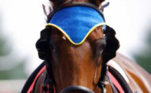 Race horse with eye blinkers DALL·E image